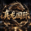 真龙国际
